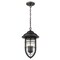 Homeroots 18.5 x 10 x 10 in. Dylan 3-Light Oil-Rubbed Bronze Hanging Lantern 397961 - alternate 3